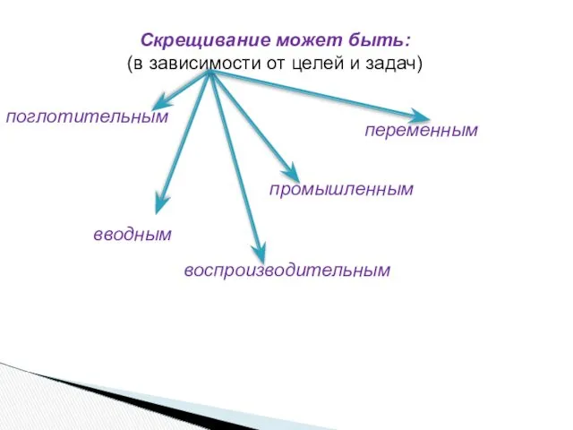 Скрещивание может быть: (в зависимости от целей и задач) поглотительным вводным воспроизводительным промышленным переменным