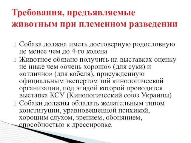 Собака должна иметь достоверную родословную не менее чем до 4-го колена Животное обязано