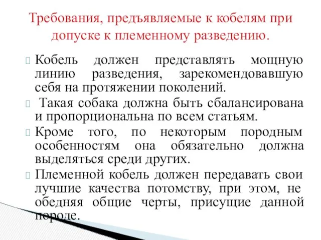 Кобель должен представлять мощную линию разведения, зарекомендовавшую себя на протяжении