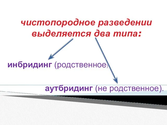 чистопородное разведении выделяется два типа: инбридинг (родственное) аутбридинг (не родственное).