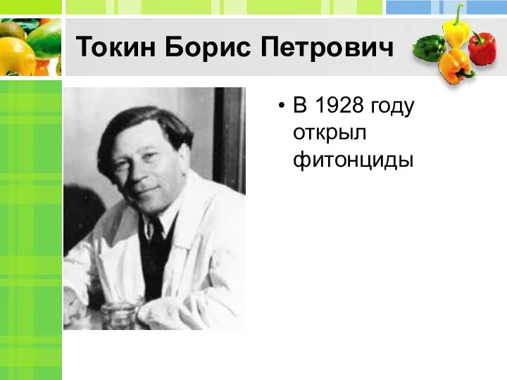 Токин Борис Петрович В 1928 году открыл фитонциды