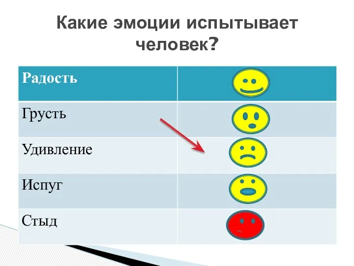 Какие эмоции испытывает человек?