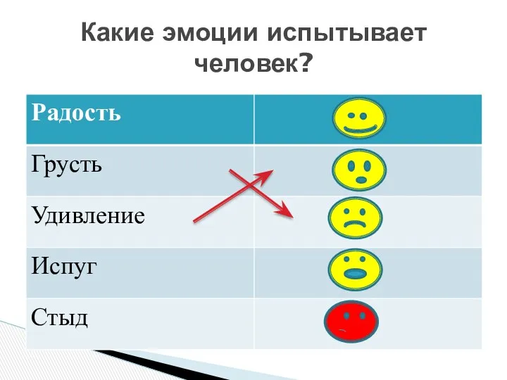 Какие эмоции испытывает человек?