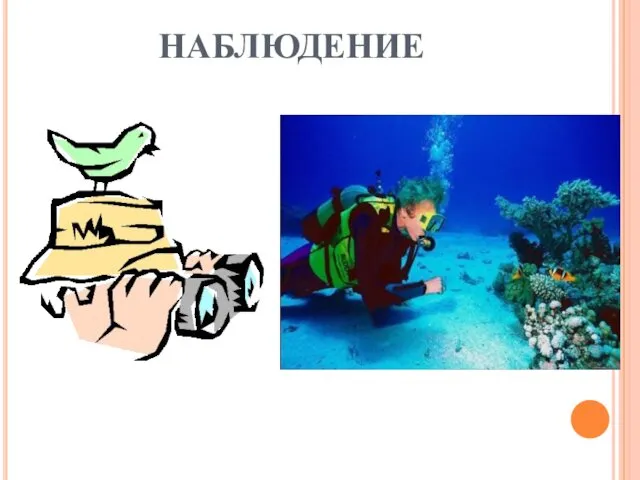 НАБЛЮДЕНИЕ