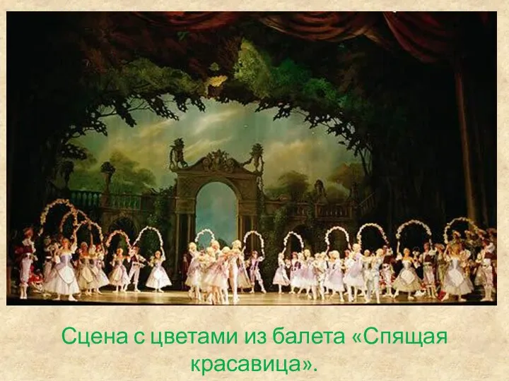 Сцена с цветами из балета «Спящая красавица».