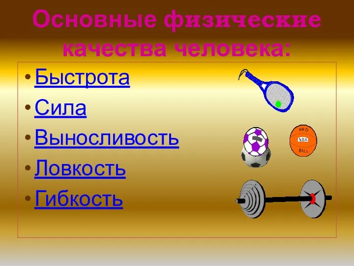 Основные физические качества человека: Быстрота Сила Выносливость Ловкость Гибкость