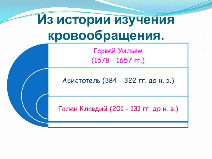 Из истории изучения кровообращения.