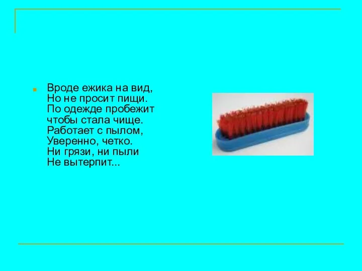 Вроде ежика на вид, Но не просит пищи. По одежде пробежит чтобы стала