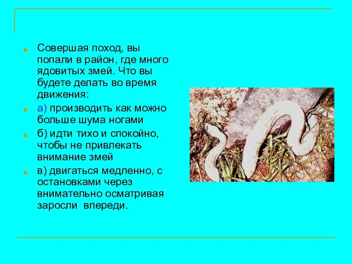 Совершая поход, вы попали в район, где много ядовитых змей. Что вы будете