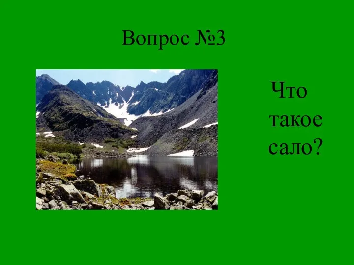 Вопрос №3 Что такое сало?