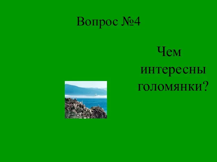 Вопрос №4 Чем интересны голомянки?