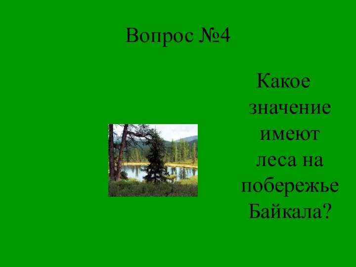 Вопрос №4 Какое значение имеют леса на побережье Байкала?