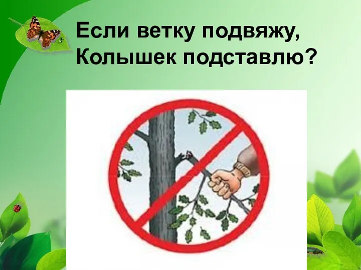 Если ветку подвяжу, Колышек подставлю?