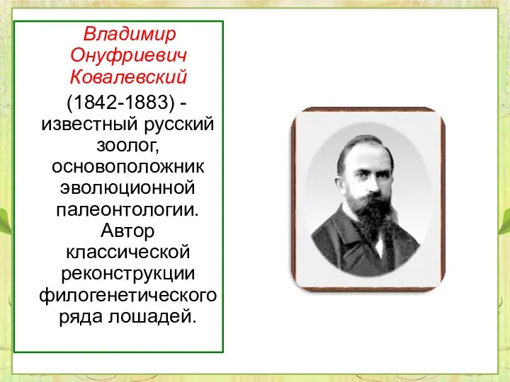 Владимир Онуфриевич Ковалевский (1842-1883) - известный русский зоолог, основоположник эволюционной