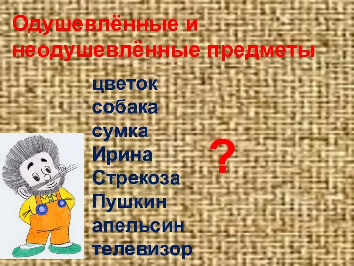 цветок собака сумка Ирина Стрекоза Пушкин апельсин телевизор ? Одушевлённые и неодушевлённые предметы
