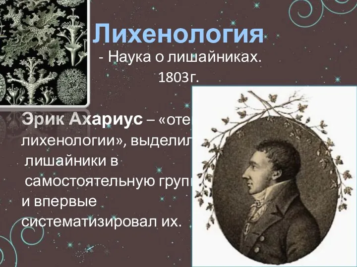 - Наука о лишайниках. 1803г. Эрик Ахариус – «отец лихенологии», выделил лишайники в