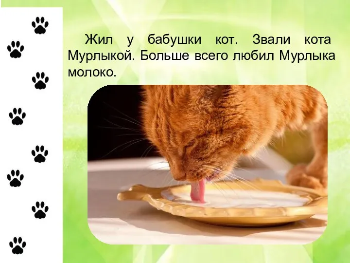 Жил у бабушки кот. Звали кота Мурлыкой. Больше всего любил Мурлыка молоко.