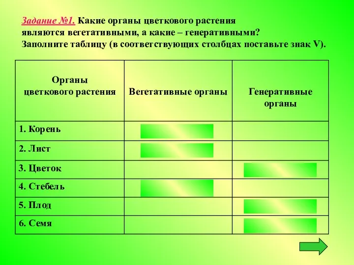 Задание №1. Какие органы цветкового растения являются вегетативными, а какие