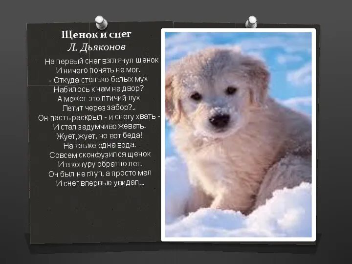 Щенок и снег Л. Дьяконов На первый снег взглянул щенок