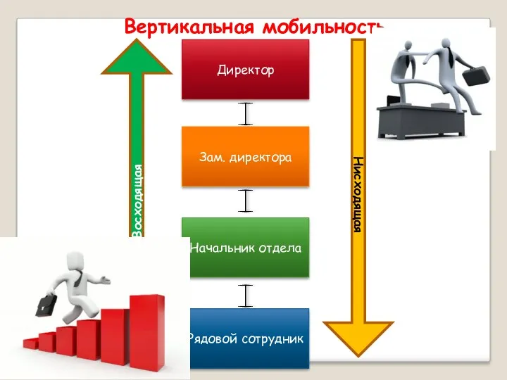 Вертикальная мобильность Директор Зам. директора Начальник отдела Рядовой сотрудник Восходящая Нисходящая
