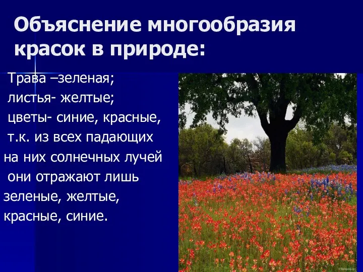 Объяснение многообразия красок в природе: Трава –зеленая; листья- желтые; цветы-