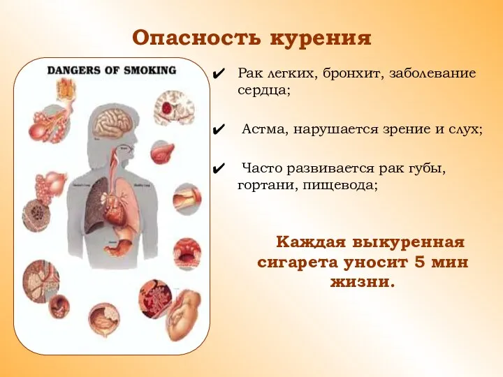 Опасность курения Рак легких, бронхит, заболевание сердца; Астма, нарушается зрение