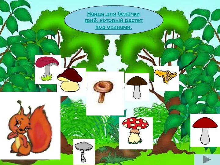 Найди для белочки гриб, который растет под осинами.