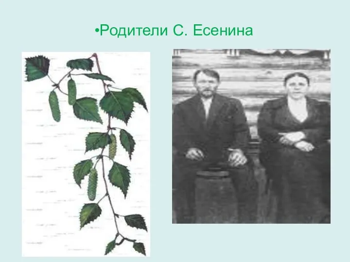 Родители С. Есенина