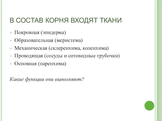 В СОСТАВ КОРНЯ ВХОДЯТ ТКАНИ Покровная (эпидерма) Образовательная (меристема) Механическая (склеренхима, коленхима) Проводящая