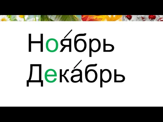 Ноябрь Декабрь