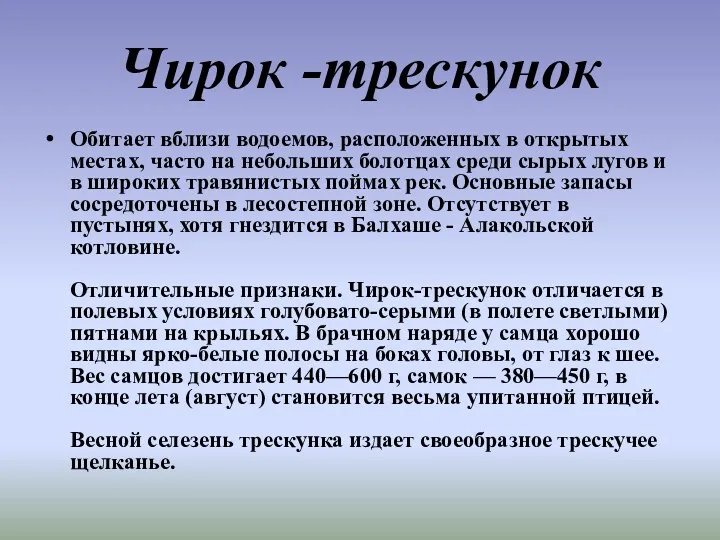 Чирок -трескунок Обитает вблизи водоемов, расположенных в открытых местах, часто