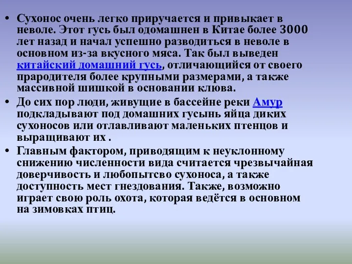 Сухонос очень легко приручается и привыкает в неволе. Этот гусь