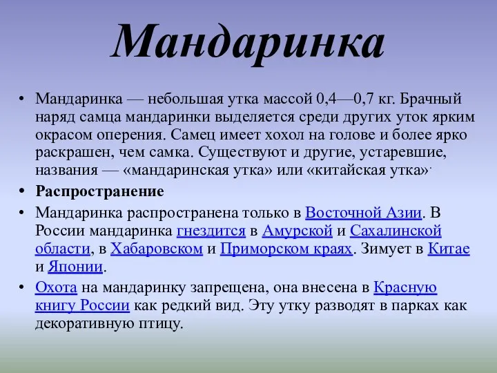 Мандаринка Мандаринка — небольшая утка массой 0,4—0,7 кг. Брачный наряд