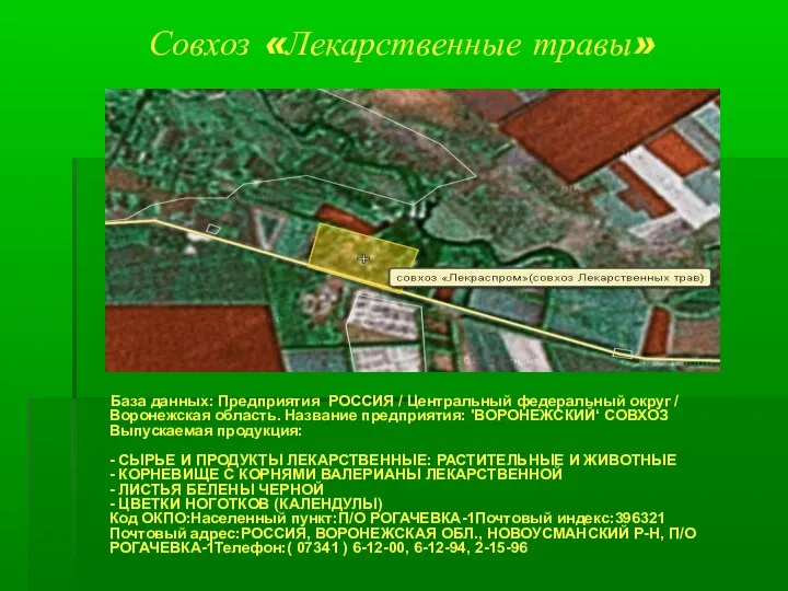 Совхоз «Лекарственные травы» База данных: Предприятия РОССИЯ / Центральный федеральный