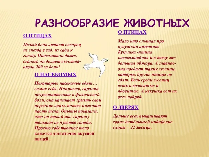 О ЗВЕРЯХ Дольше всех вынашивают своих детёнышей индийские слоны –