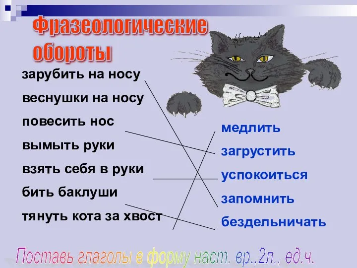 Фразеологические обороты зарубить на носу веснушки на носу повесить нос