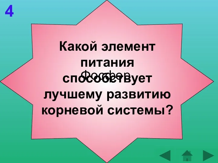 4 Фосфор Какой элемент питания способствует лучшему развитию корневой системы?