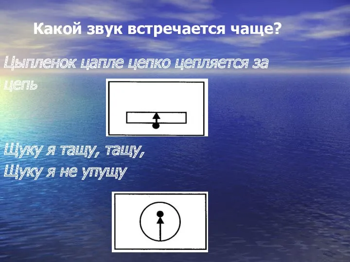 Какой звук встречается чаще? Цыпленок цапле цепко цепляется за цепь