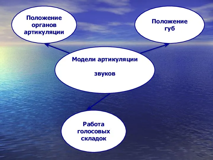 Положение губ Работа голосовых складок Положение органов артикуляции Модели артикуляции звуков