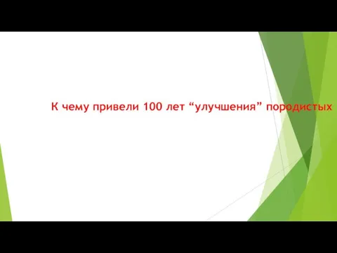 К чему привели 100 лет “улучшения” породистых собак