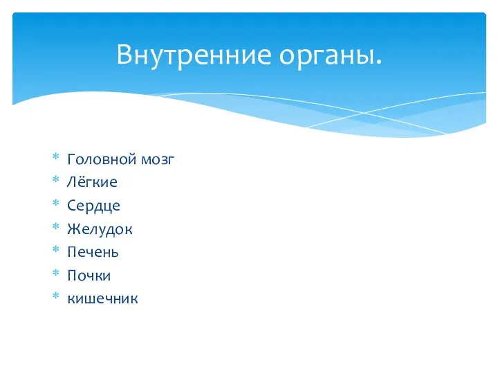 Внутренние органы. Головной мозг Лёгкие Сердце Желудок Печень Почки кишечник