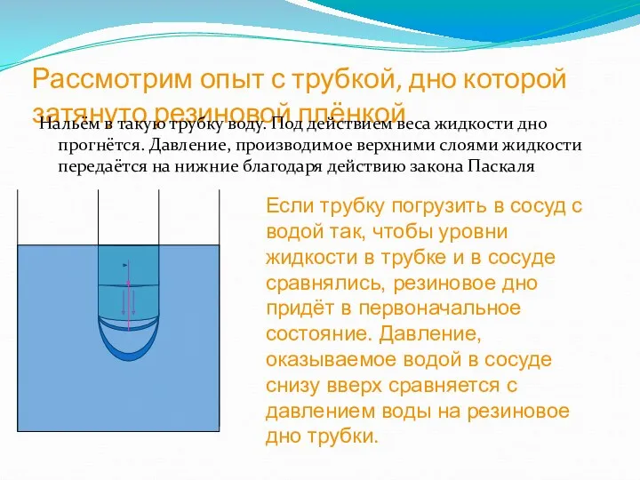 Рассмотрим опыт с трубкой, дно которой затянуто резиновой плёнкой Нальём