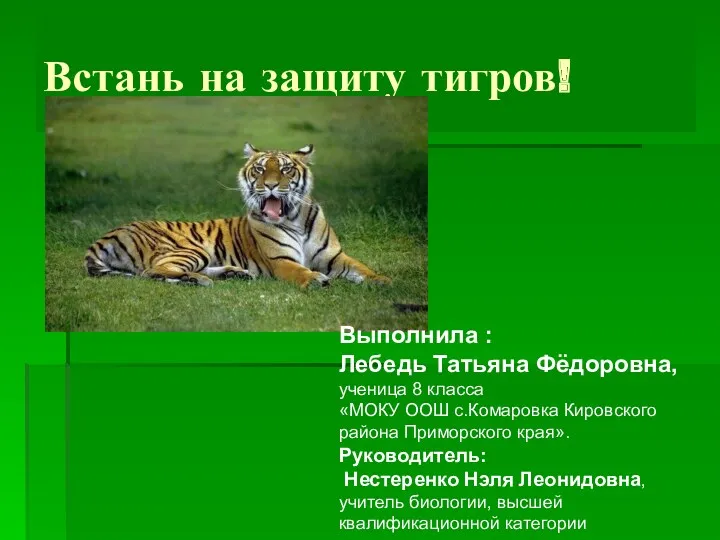 Встань на защиту тигров