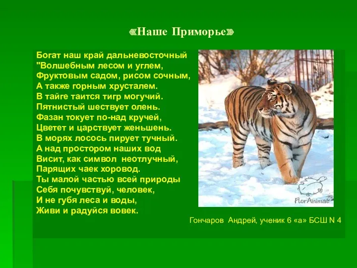 «Наше Приморье» Богат наш край дальневосточный "Волшебным лесом и углем,