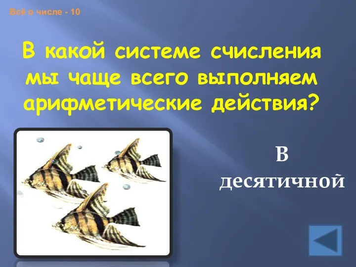 В какой системе счисления мы чаще всего выполняем арифметические действия?