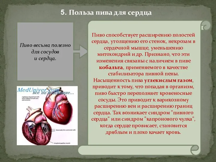 5. Польза пива для сердца Пиво весьма полезно для сосудов и сердца. Пиво