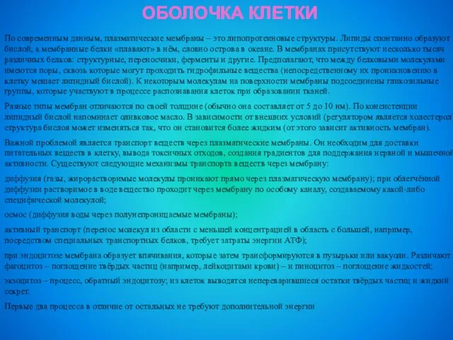 ОБОЛОЧКА КЛЕТКИ По современным данным, плазматические мембраны – это липопротеиновые