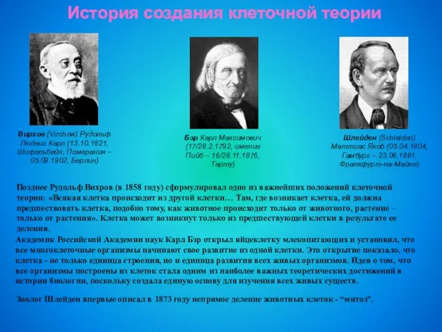 История создания клеточной теории Шлейден (Schleiden) Маттиас Якоб (05.04.1804, Гамбург