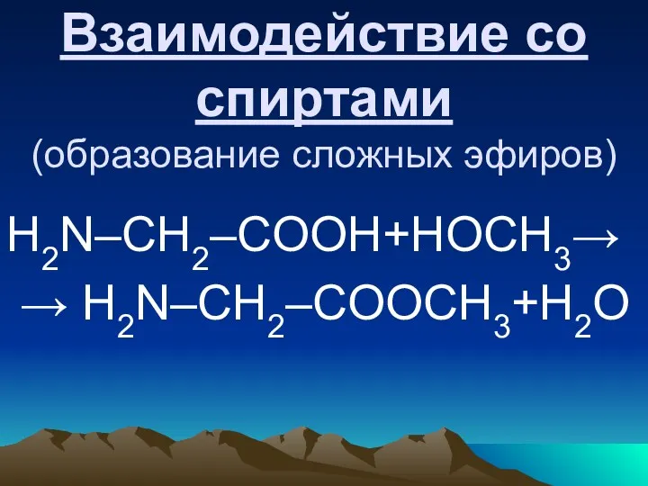 Взаимодействие со спиртами (образование сложных эфиров) H2N–CH2–COOH+НОСН3→ → H2N–CH2–COOСH3+Н2О
