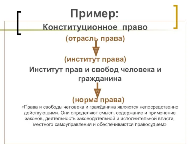 Пример: Конституционное право (отрасль права) (институт права) Институт прав и